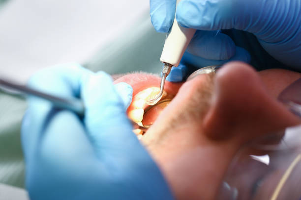 Best Urgent Tooth Repair  in Sheridan, IL